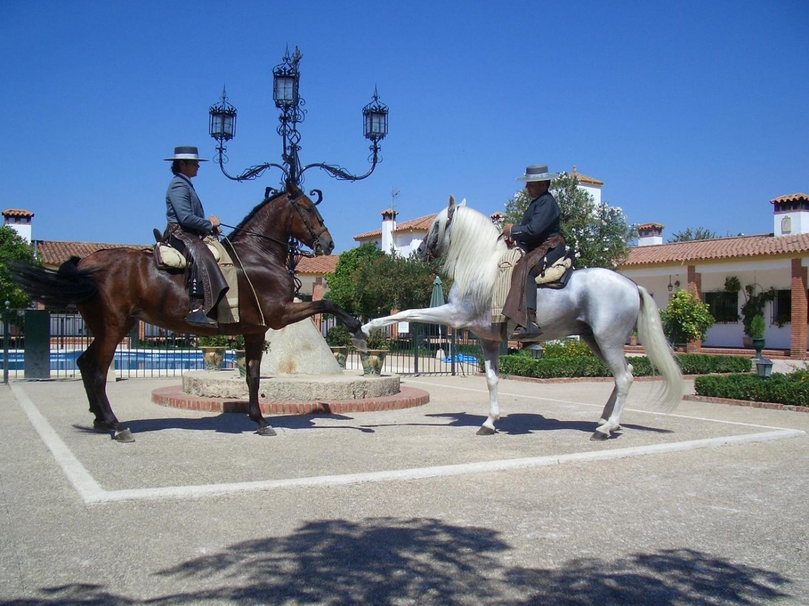 Cortijo De Frias Daire Cabra Dış mekan fotoğraf