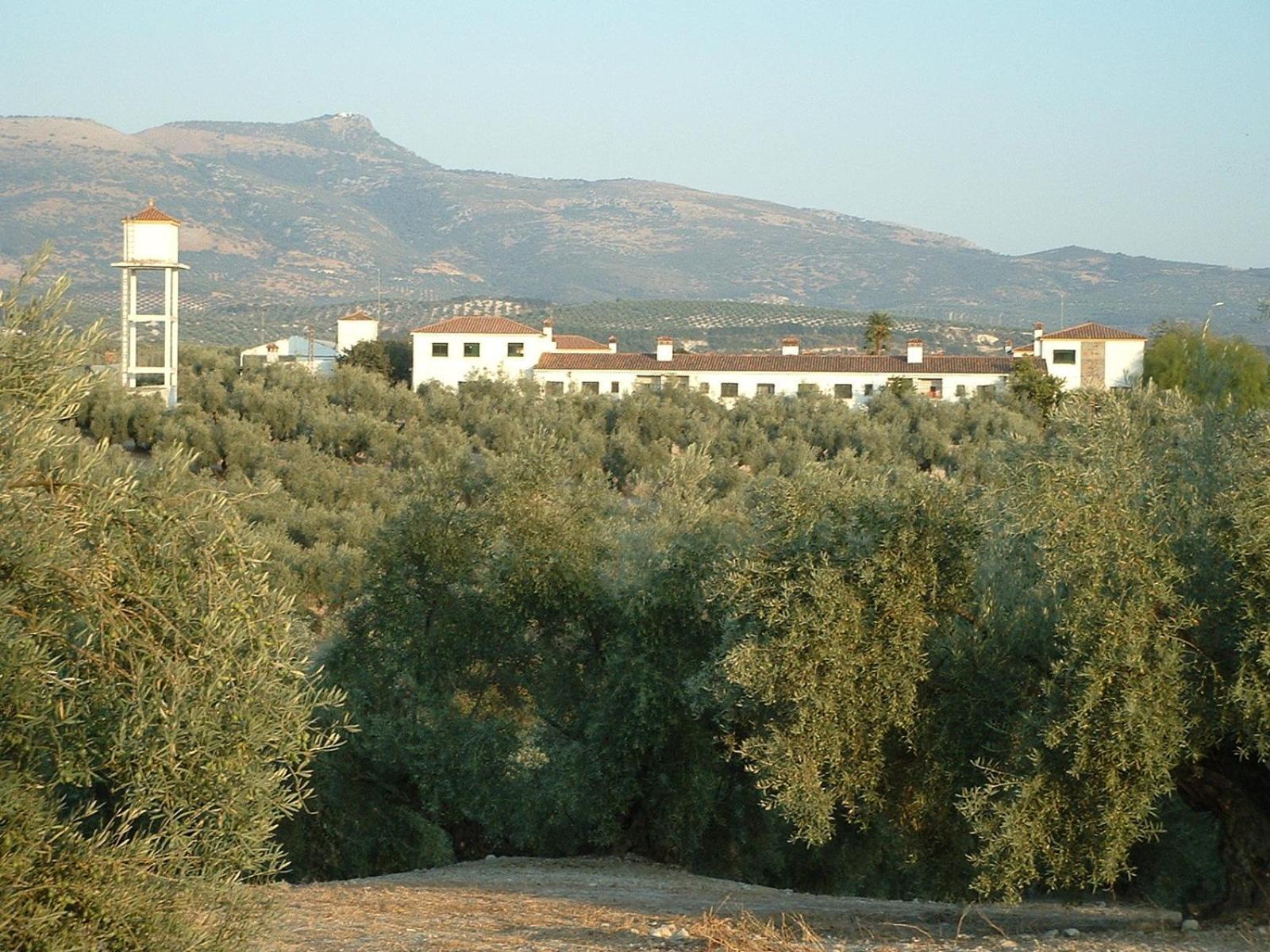 Cortijo De Frias Daire Cabra Dış mekan fotoğraf
