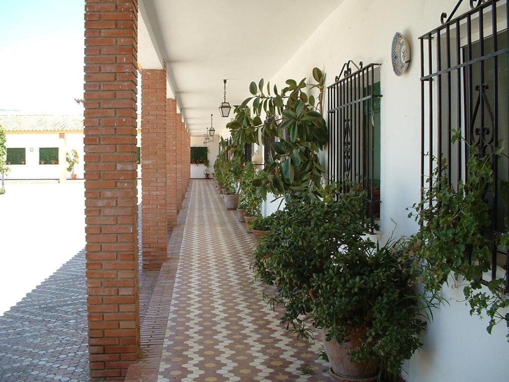 Cortijo De Frias Daire Cabra Oda fotoğraf